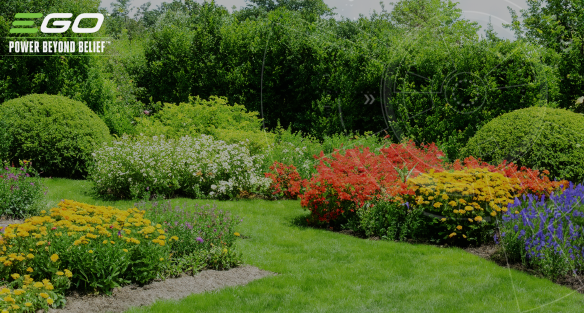 Turn your garden into a carbon sink