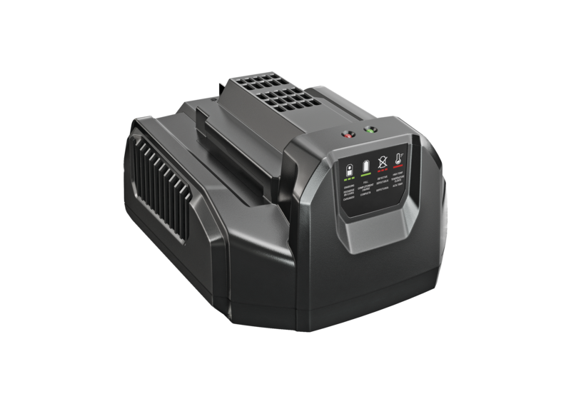 




CH2100E


 




STANDARD CHARGER



